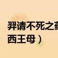 羿请不死之药于西王母翻译（羿请不死之药于西王母）