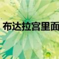 布达拉宫里面长什么样（布达拉宫里面图片）