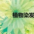 植物染发剂真的无害吗（植物染发）