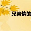 兄弟情的歌曲视频（兄弟情的歌曲）