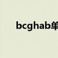 bcghab单词（bcws每一个单词意思）