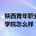 陕西青年职业学院有什么专业（陕西青年职业学院怎么样）