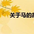 关于马的故事有哪些（关于马的故事）