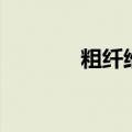 粗纤维蔬菜有哪些（粗纤维）