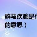 群马疾驰是什么意思及是什么意思（群马疾驰的意思）
