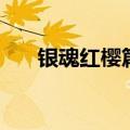 银魂红樱篇剧场版在线（银魂红樱篇）