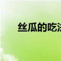 丝瓜的吃法和营养价值（丝瓜的吃法）