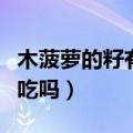 木菠萝的籽有什么功效与作用（木菠萝的籽能吃吗）