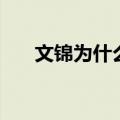 文锦为什么不老（文锦为什么怕潘子）
