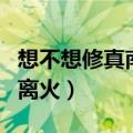 想不想修真南明离火怎么用（想不想修真南明离火）