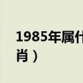 1985年属什么生肖2020（1985年属什么生肖）