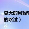 夏天的风轻轻的吹过是什么歌（夏天的风轻轻的吹过）