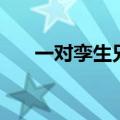 一对孪生兄弟（一对孪生兄妹的爱情）