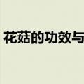 花菇的功效与作用图片（花菇的功效与作用）