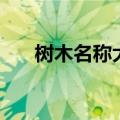 树木名称大全及图片（树木名称大全）