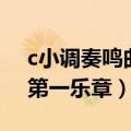 c小调奏鸣曲第一乐章贝多芬（c小调奏鸣曲第一乐章）