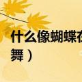 什么像蝴蝶在空中翩翩起舞（什么像蝴蝶在飞舞）
