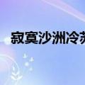 寂寞沙洲冷苏轼的故事（寂寞沙洲冷苏轼）