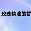 玫瑰精油的提取实验报告（玫瑰精油的提取）