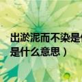 出淤泥而不染是什么意思对我们有什么启示（出淤泥而不染是什么意思）