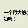 一个月大的小猫可以喝牛奶吗（小猫可以喝牛奶吗）