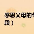 感恩父母的句子好段简短（感恩父母的句子好段）
