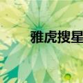 雅虎搜星在哪儿举办的（雅虎搜星）