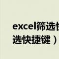 excel筛选快捷键被关闭怎么打开（excel筛选快捷键）