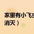 家里有小飞虫是什么原因（家里有小飞虫怎么消灭）