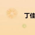 丁佳明是哪国人（丁佳明）