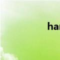 hanabi选手（hanabi）