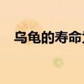 乌龟的寿命为什么那么长?（乌龟的寿命）