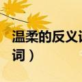 温柔的反义词是什么? 标准答案（温柔的反义词）