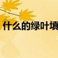 什么的绿叶填空词语三年级上（什么的绿叶）