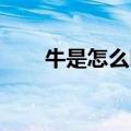 牛是怎么叫的 叫声（牛是怎么叫的）