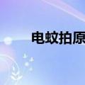 电蚊拍原理及电路图（电蚊拍原理）