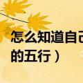 怎么知道自己的五行属什么命（怎么知道自己的五行）