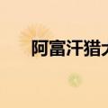 阿富汗猎犬中国能养吗（阿富汗猎犬）