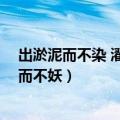 出淤泥而不染 濯清涟而不妖的英文（出淤泥而不染 濯清涟而不妖）