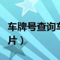 车牌号查询车辆照片信息（车牌号查询车辆照片）