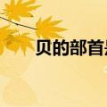 贝的部首是什么?（贝的部首是什么）
