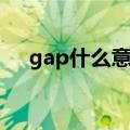 gap什么意思中文意思（gap什么意思）