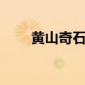 黄山奇石课文讲解（黄山奇石课文）