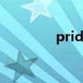 pride烟价格表（pride烟）