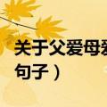 关于父爱母爱的句子各十句（关于父爱母爱的句子）