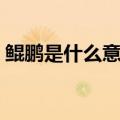 鲲鹏是什么意思代指什么（鲲鹏是什么意思）
