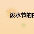 泼水节的由来读后感（泼水节的由来）