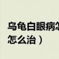 乌龟白眼病怎么治最快氧氟沙星（乌龟白眼病怎么治）