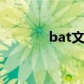 bat文件运行不了（bat文件）