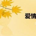 爱情果冻郑爽（爱情果冻）